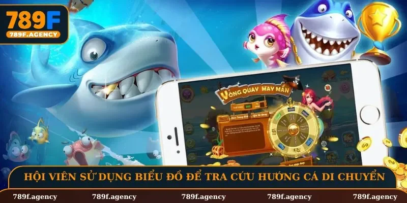 Hội viên sử dụng biểu đồ để tra cứu hướng cá di chuyển