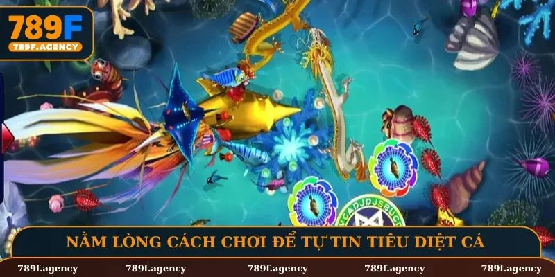 Nằm lòng cách chơi để tự tin tiêu diệt cá