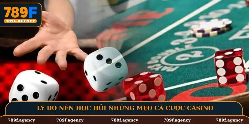 Lý do nên học hỏi những mẹo cá cược casino