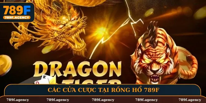 Các cửa cược tại rồng hổ 789F