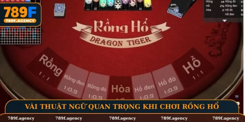 Vài thuật ngữ quan trọng khi chơi rồng hổ