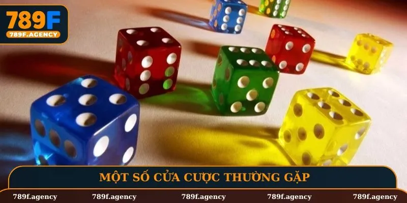 Một số cửa cược thường gặp